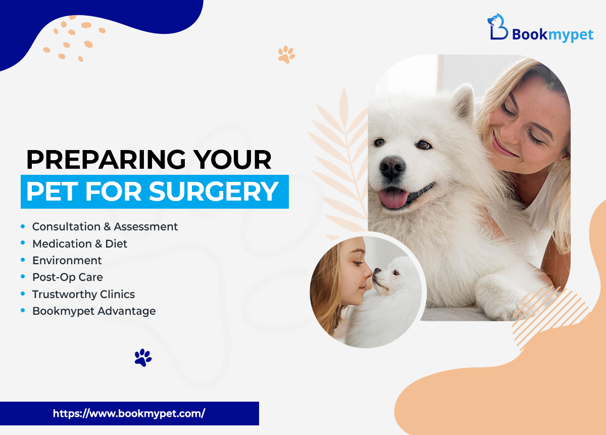 Preparing-Your-Pet-for-Surgery