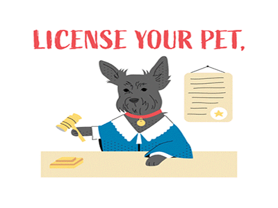 licensing-your-pet-in-dubai-what-you-need-to-know