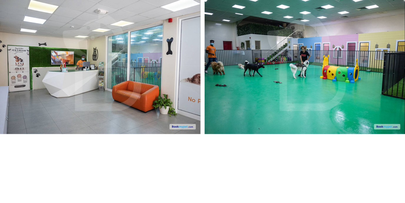 Churchwoods Pet Hotel & Daycare Park: Dog Daycare Boarding Centres in Dubai 
